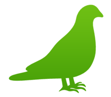 Tauben